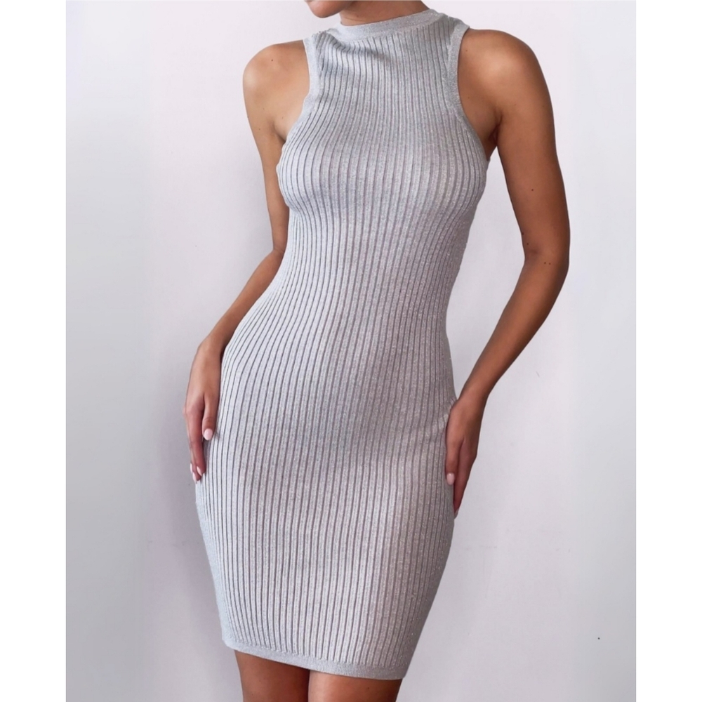 NWT The Noli Shop Womens Siren Sleeveless Silver Bodycon Ribbed Dress Size L